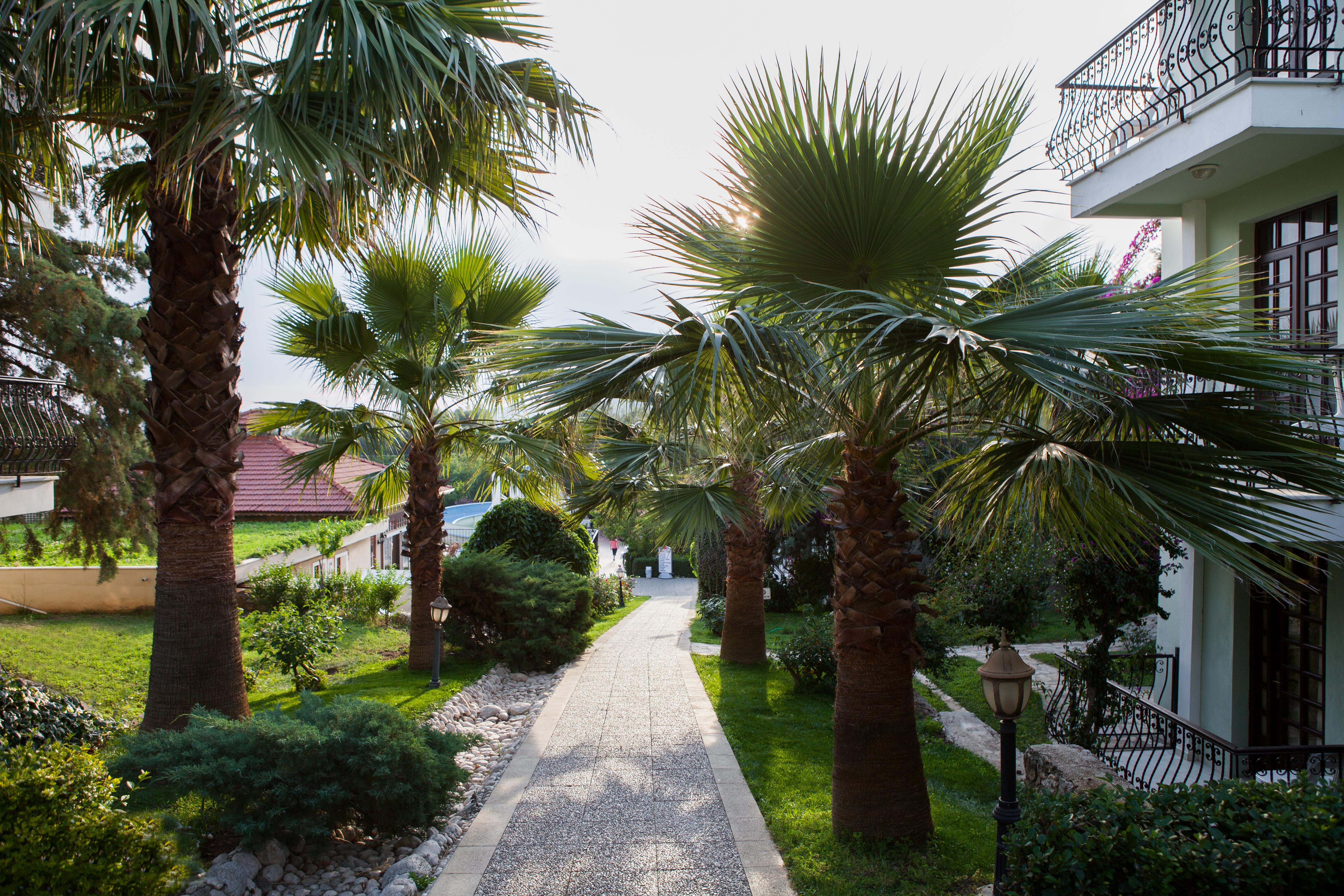 Hotel Greenland Oludeniz Ngoại thất bức ảnh